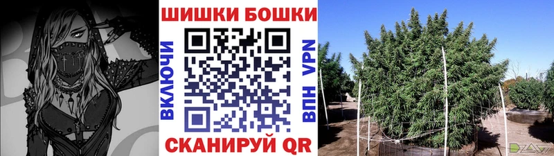 где купить   Ульяновск  Бошки Шишки марихуана 